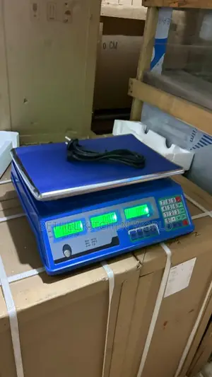 40kg Camry Scale