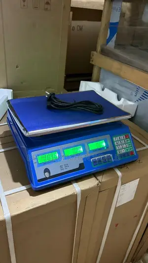 Standard 40kg Scale