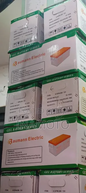 Baumann Deep Cycle Battery