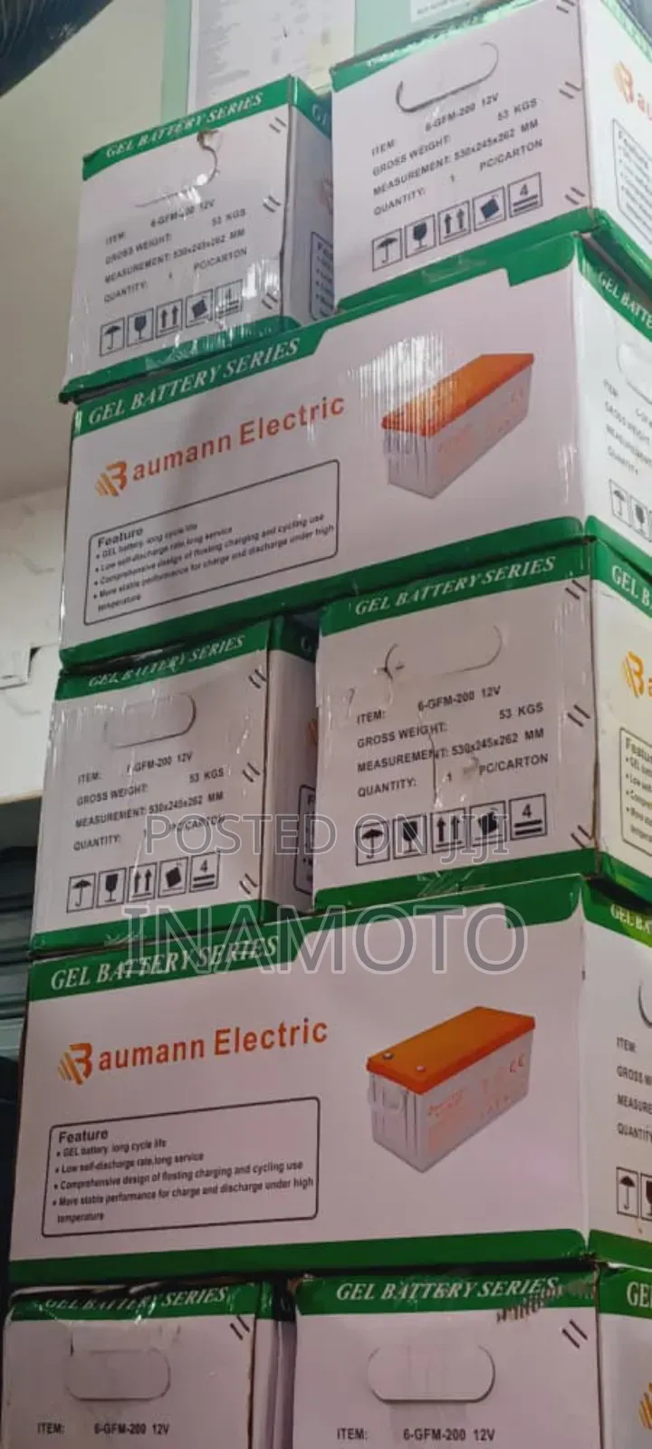 Baumann Deep Cycle Battery