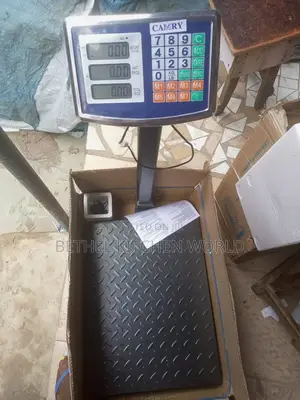 Standard 100kg Scale