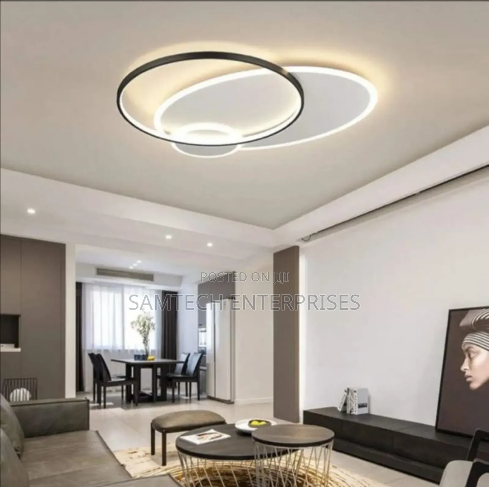 Fancy Led Ceiling Light