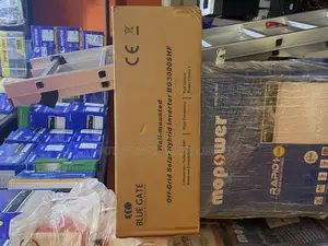 3kw 24v Blue Gate Solar Hybrid Inverter