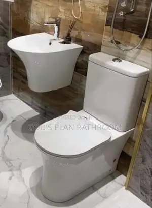 Executive White Watercloset With Hanging Basin