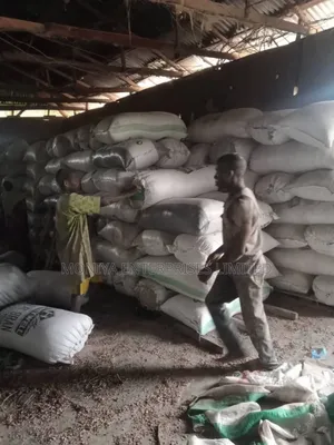 Cassava Peel Meal – Cheaper Alternative to Maize for Animal Feed
