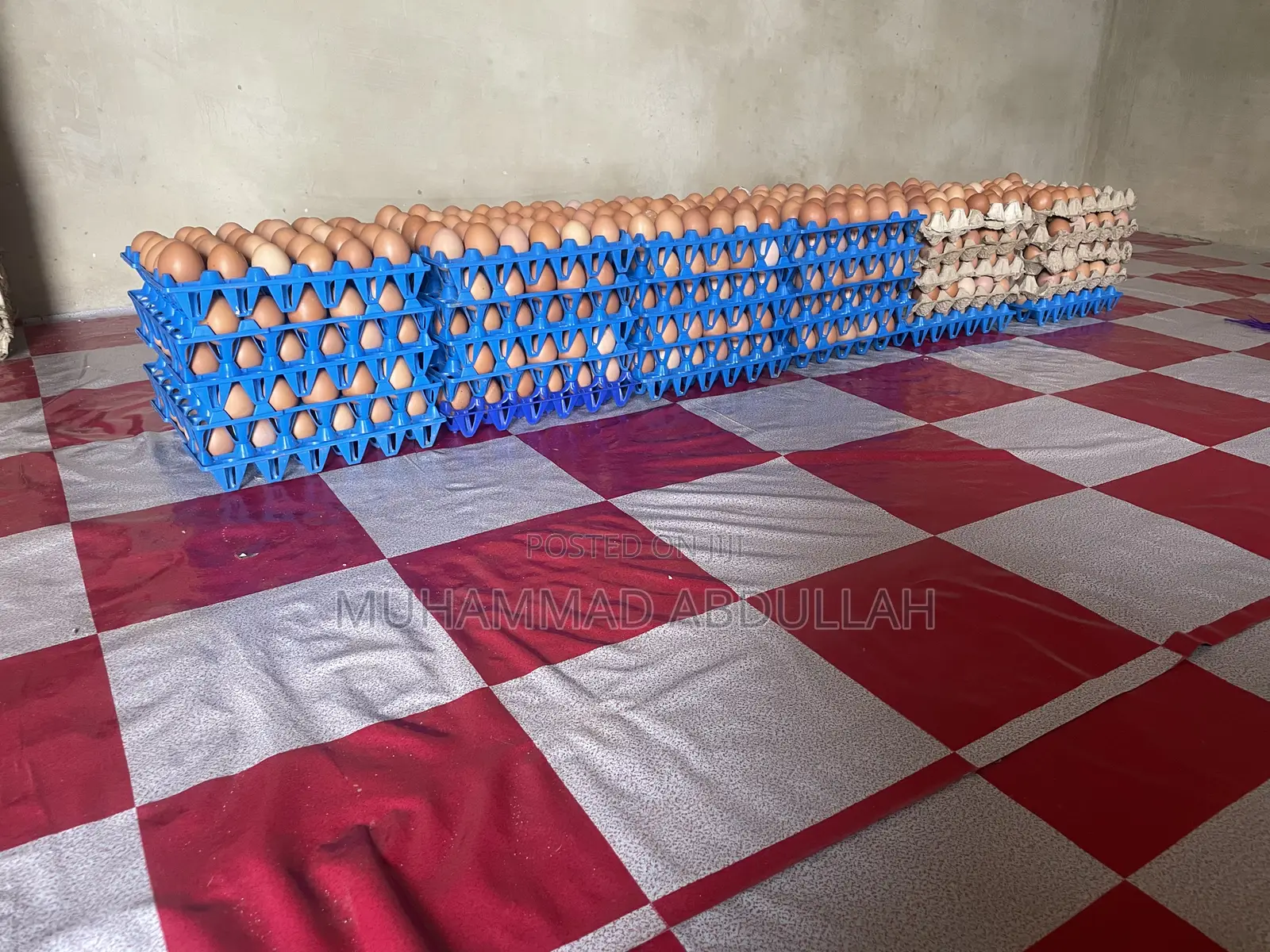 Eggs Crates of Egg