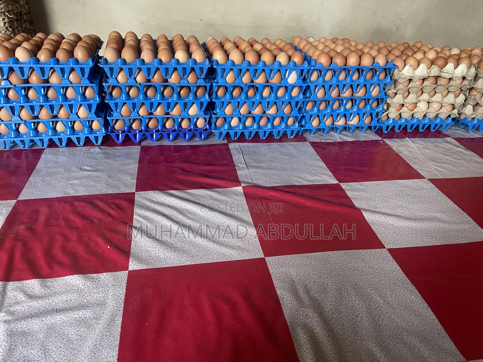 Eggs Crates of Egg
