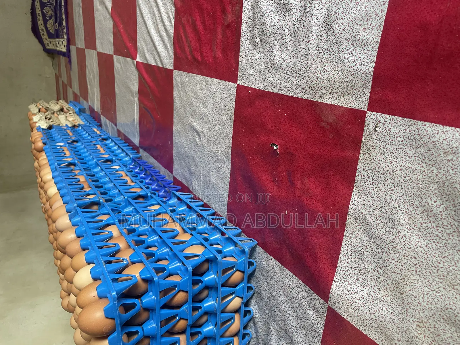 Eggs Crates of Egg