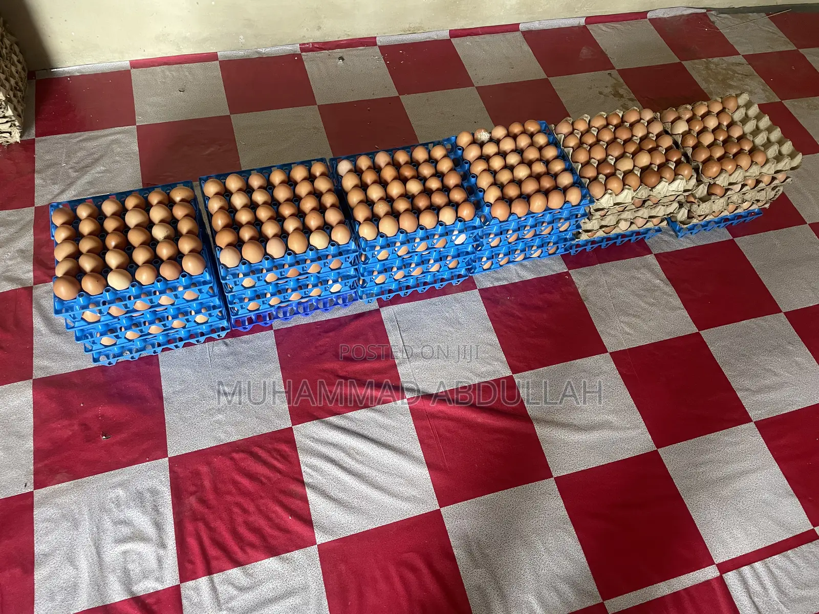 Eggs Crates of Egg