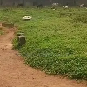 A Plot Of Land With A Demolish Able Bungalow