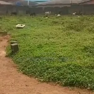 150 Plots of Land at Ibeju Lekki