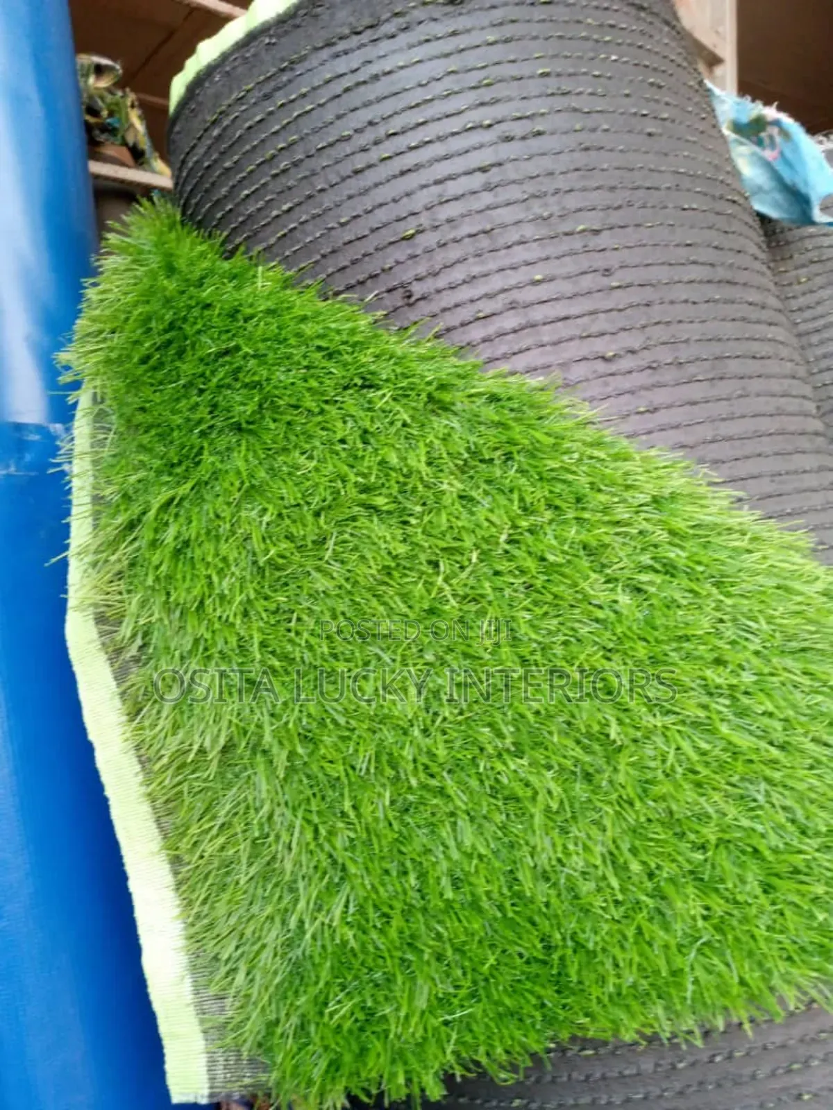 Thick Green Grass