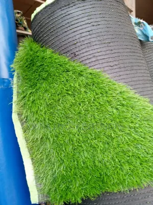 Thick Green Grass