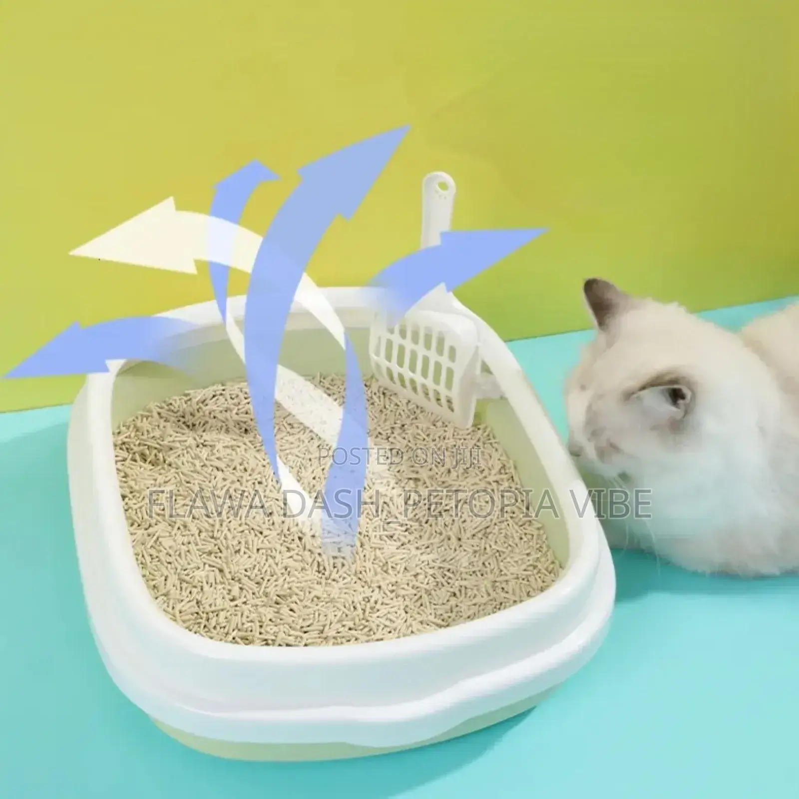 Low Border 3in1 Cat Kitten Litter Box