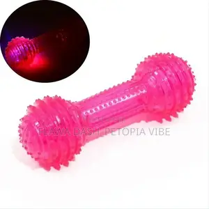 Dumbell Rubber Spiky Dog Chew Toy