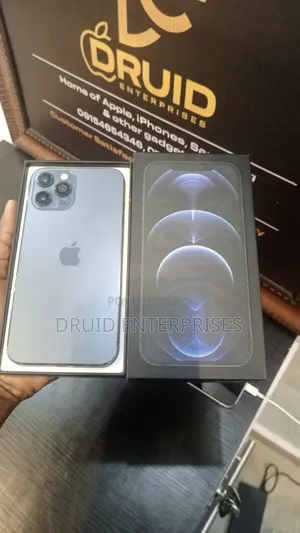 Apple iPhone 12 Pro Max 256 GB Blue