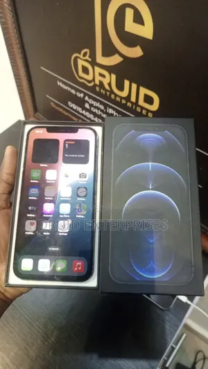 Apple iPhone 12 Pro Max 256 GB Blue