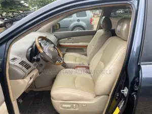 Lexus RX 330 4WD 2003 Black