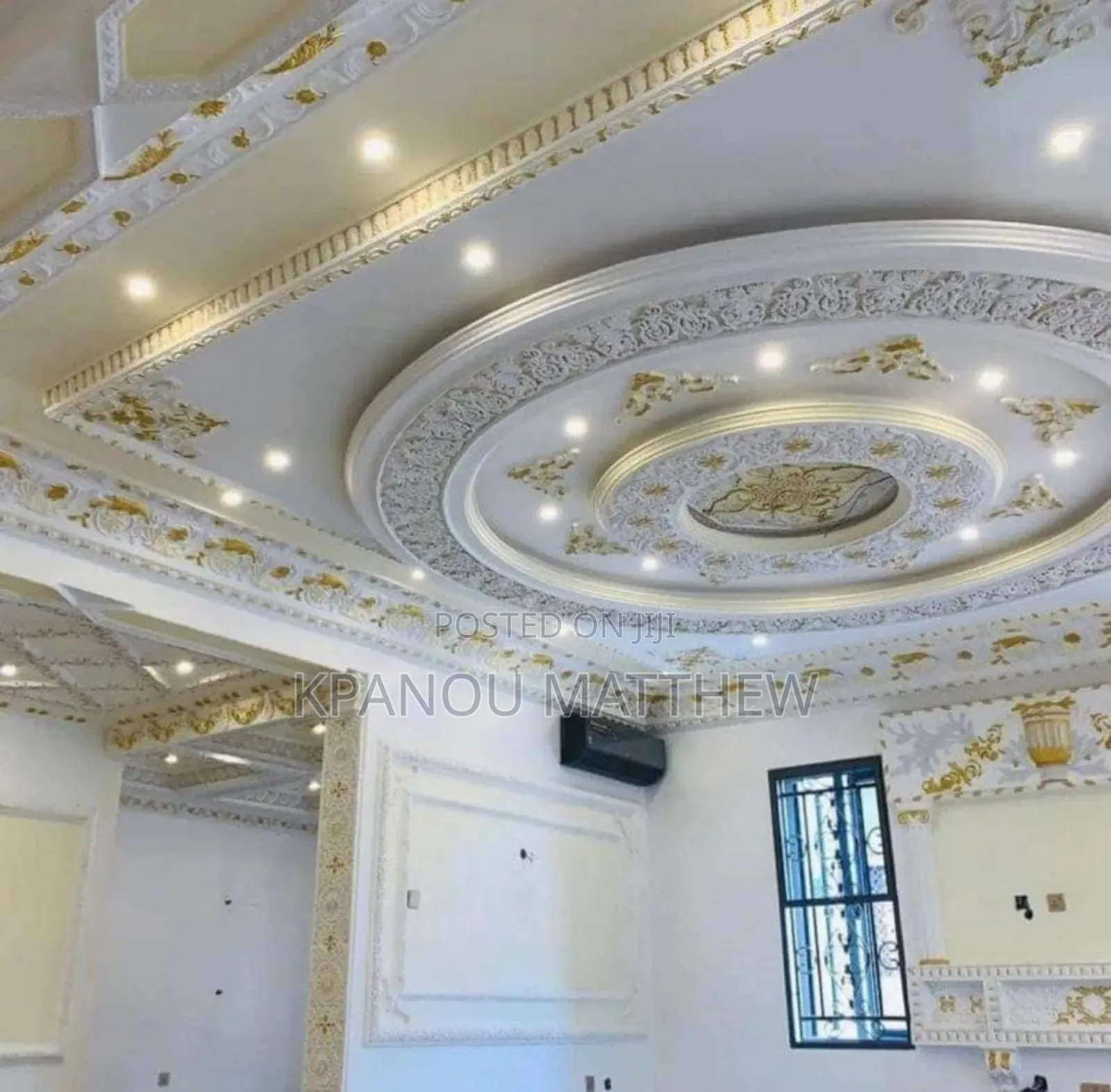 A Professional Painter
