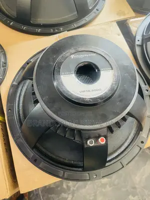 Infinity Big Magnet 15 Inches Naked Speaker