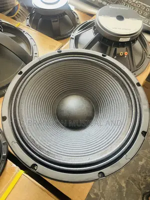 Infinity Big Magnet 15 Inches Naked Speaker