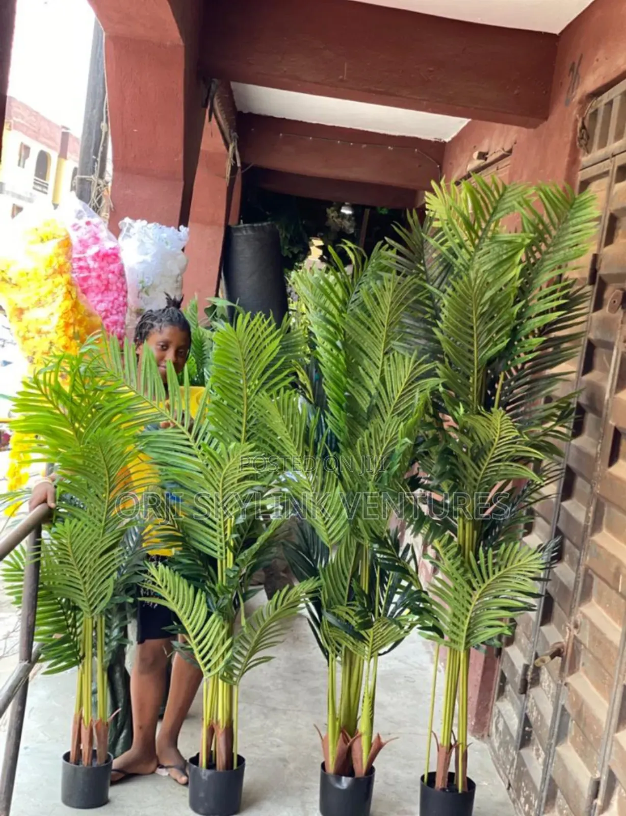 Palm Flower Plant