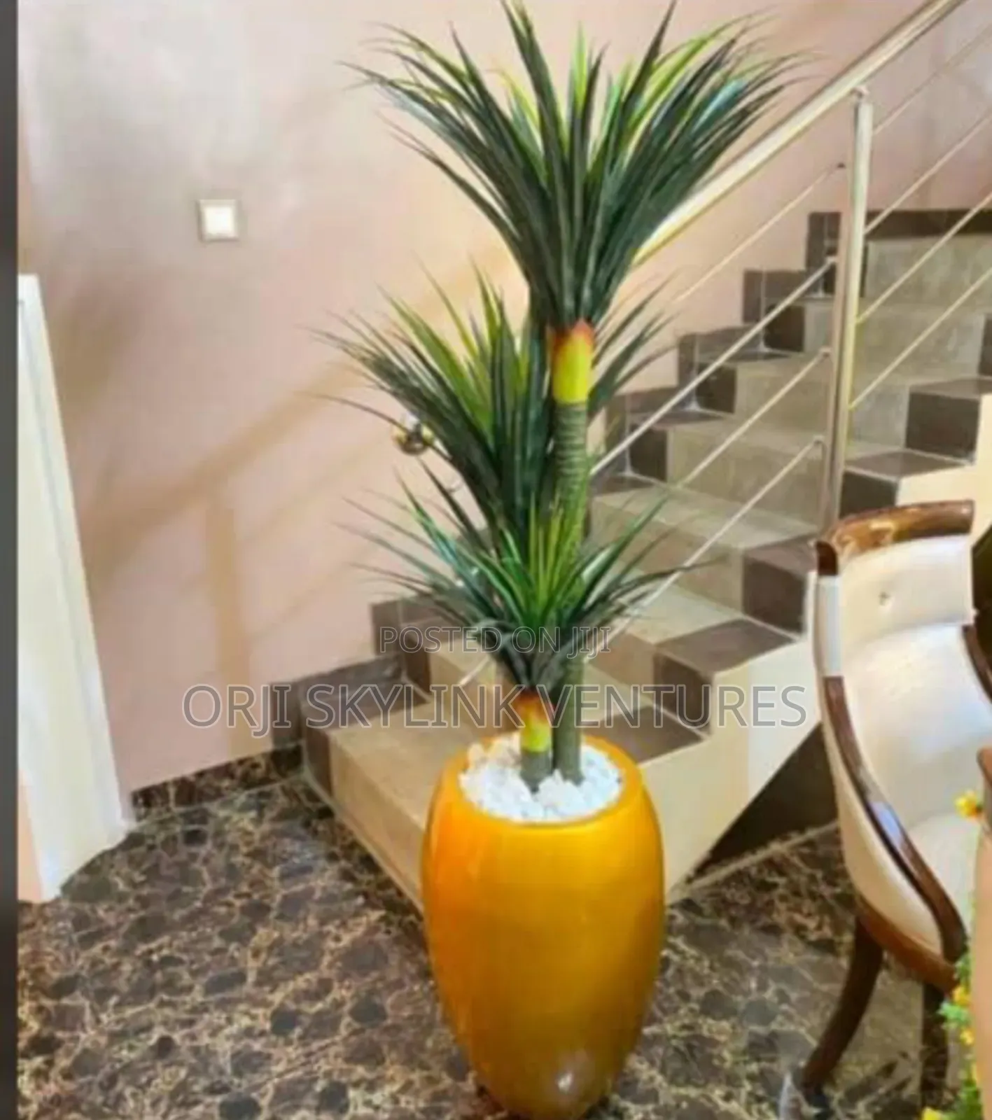 5ft Height Flower Plant