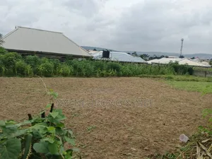 Virgin Land for Sale