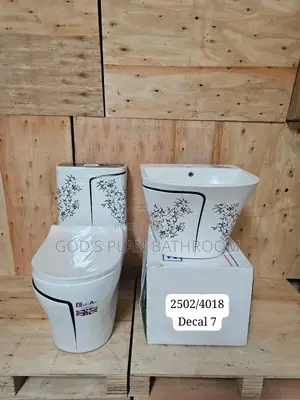 Executive Wc With Hanging Basin