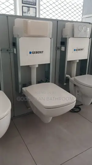 Geberit Alpha Selnova Rimfree Concealed Cistern