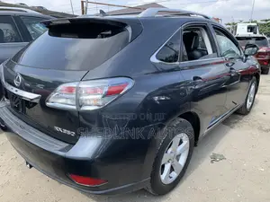 Lexus RX 350 2010 Gray