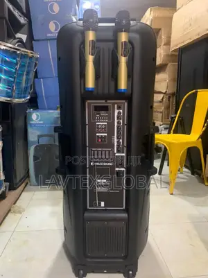 15inches Double Pa System