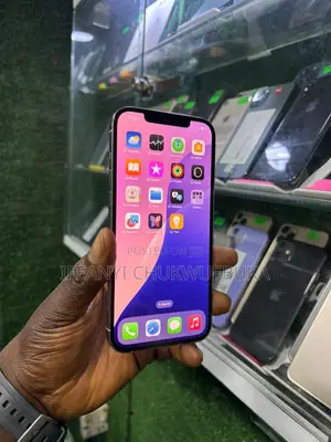 Apple iPhone 12 Pro Max 256 GB Silver