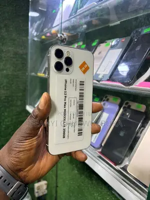 Apple iPhone 12 Pro Max 256 GB Silver