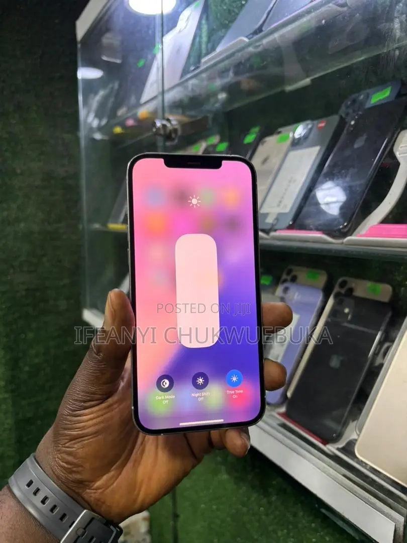 Apple iPhone 12 Pro Max 256 GB Silver