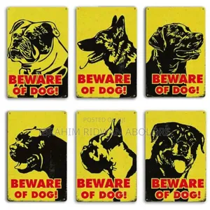 Dog Accessories