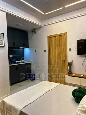 Cozy Studio Apartment at Surulere
