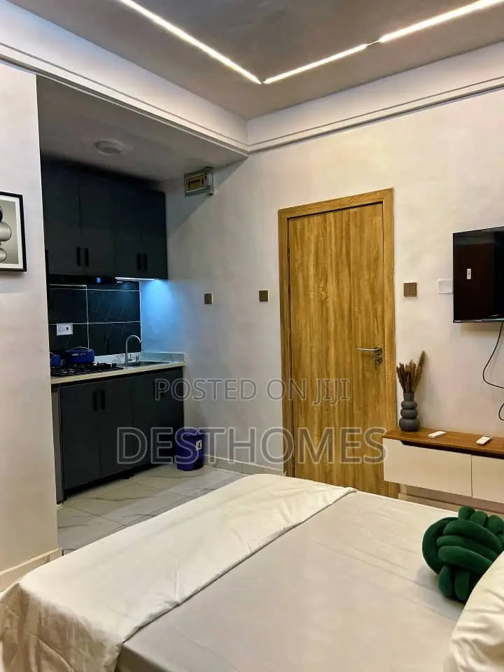 Cozy Studio Apartment at Surulere