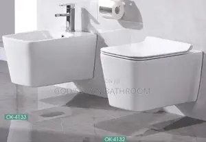 Conceal Watercloset and Bidet