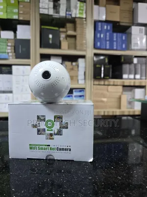 Security Spy Bulb