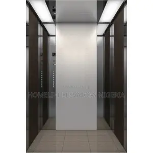 Customized Residential Elevator
