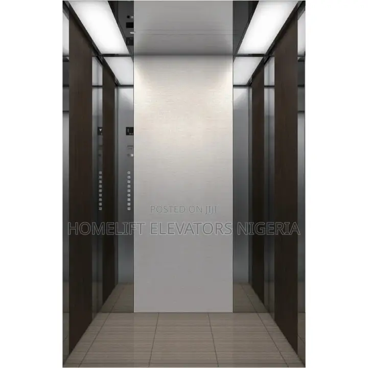 Customized Residential Elevator