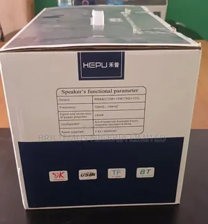Hepu Speaker With Microphones