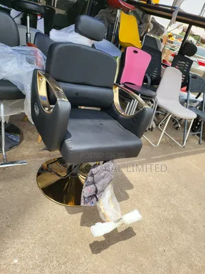 Executive Salon Chair / Foreign Barbing Salon Chair