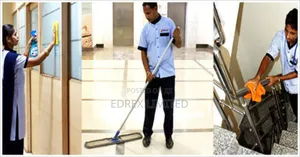 Premium Cleaning Services