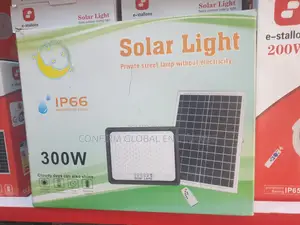 300w Multiple Eyes Solar Flood Light With Panel