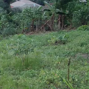430 SQM Land Available