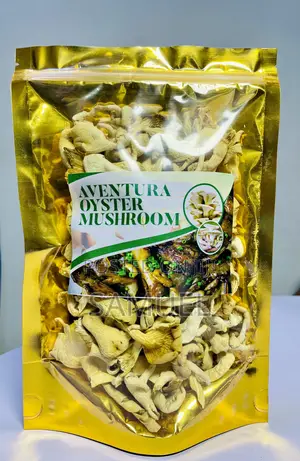 Aventura Oyster Mushroom