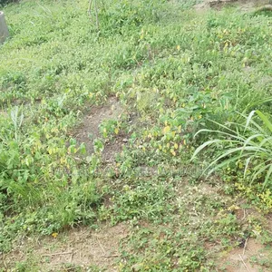 900sqm.Land Available