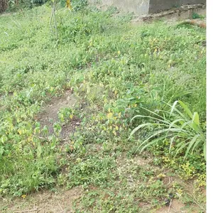 14 Plots Joint Venture Land Available